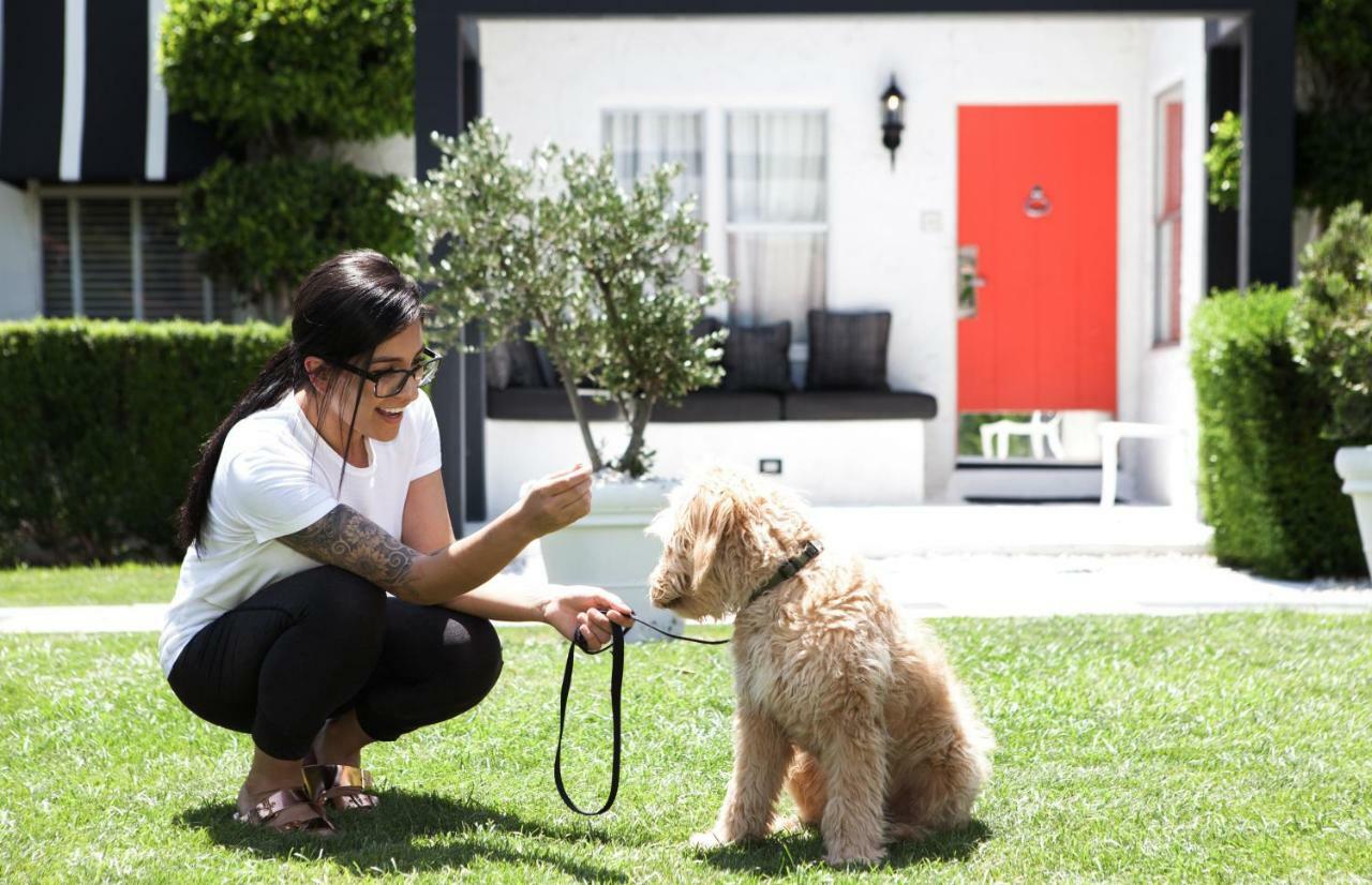 Avalon Hotel & Bungalows Palm Springs, A Member Of Design Hotels Exteriér fotografie